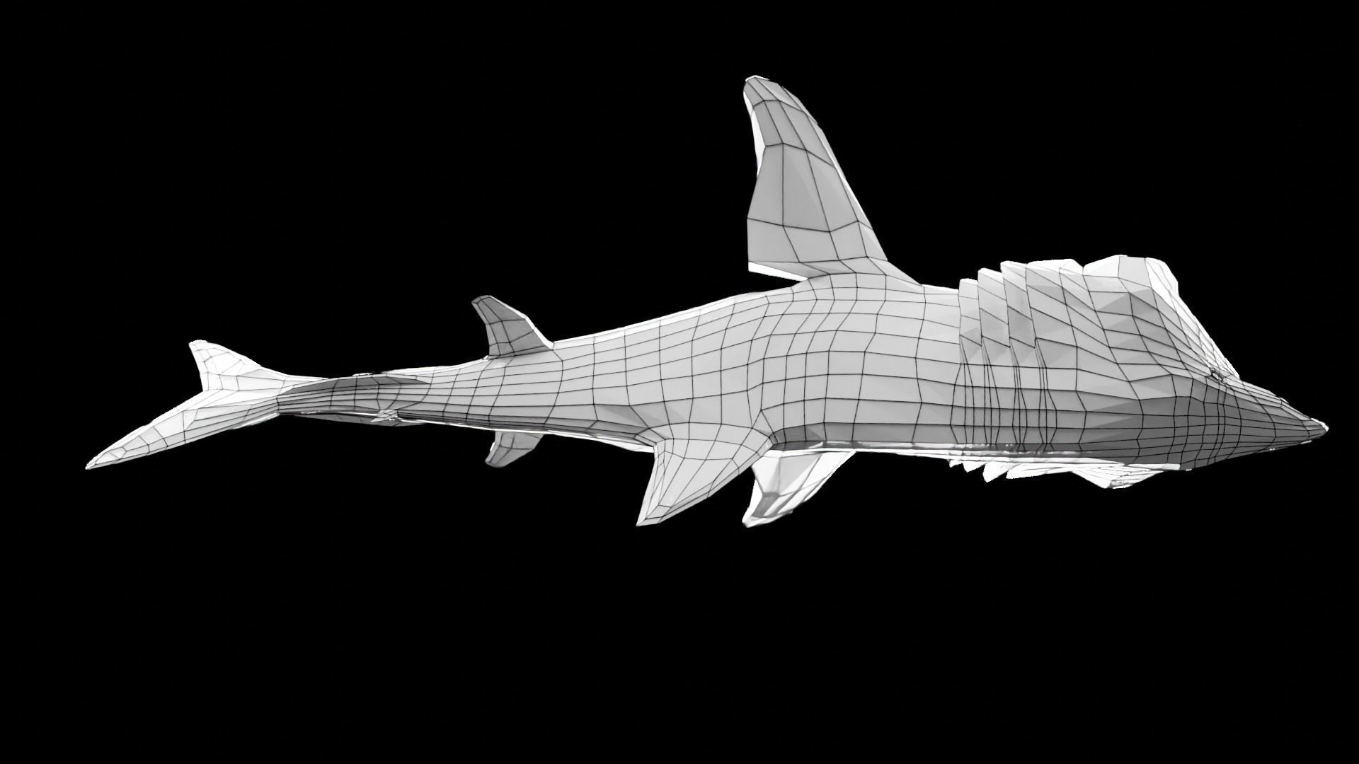 Lowpoly Basking Shark Low-poly 3D model_21