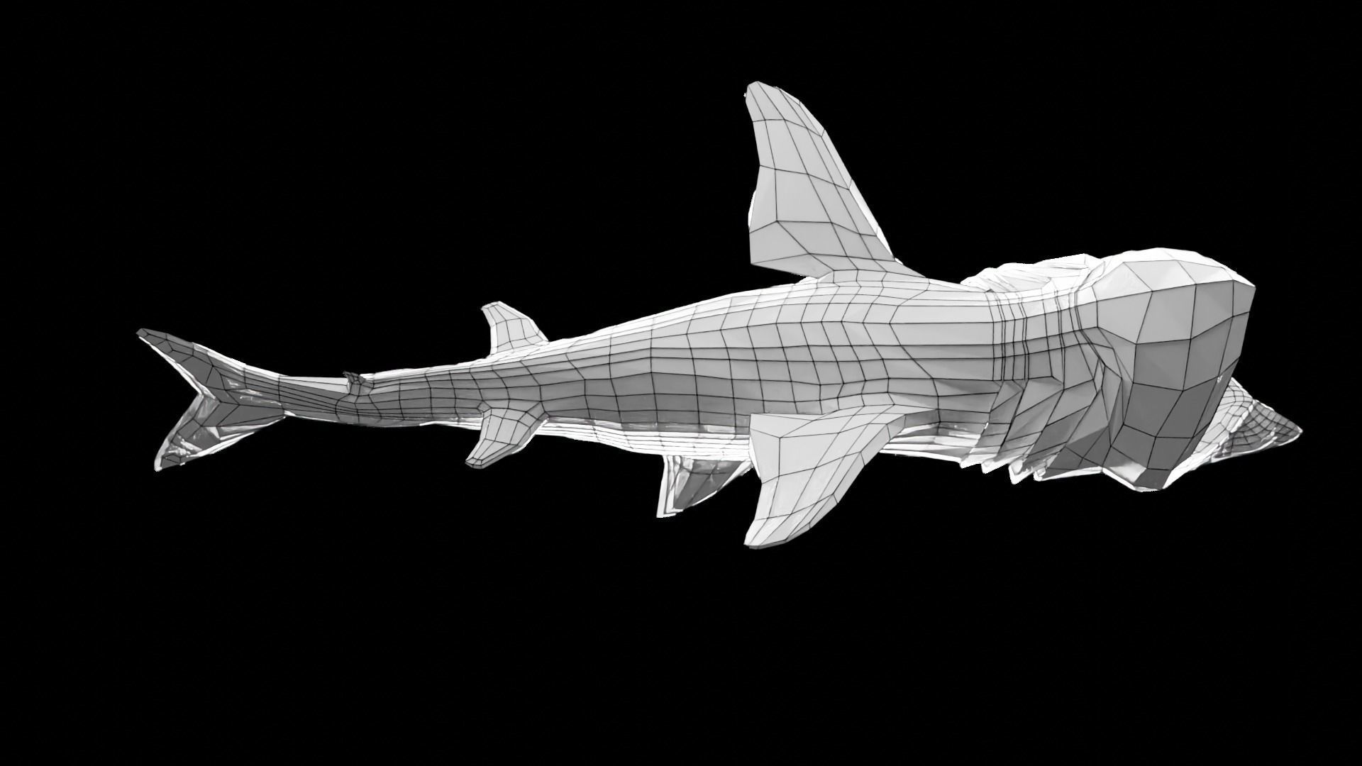 Lowpoly Basking Shark Low-poly 3D model_18