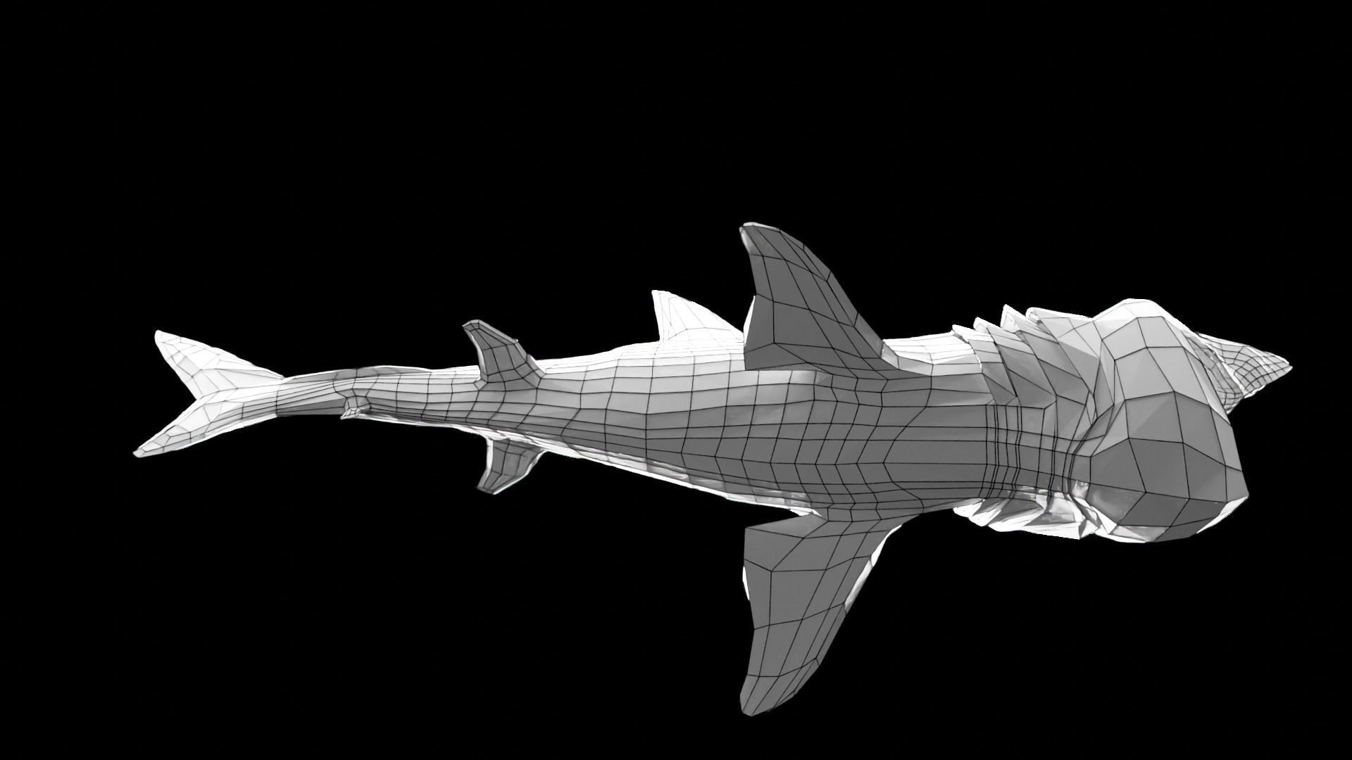 Lowpoly Basking Shark Low-poly 3D model_16