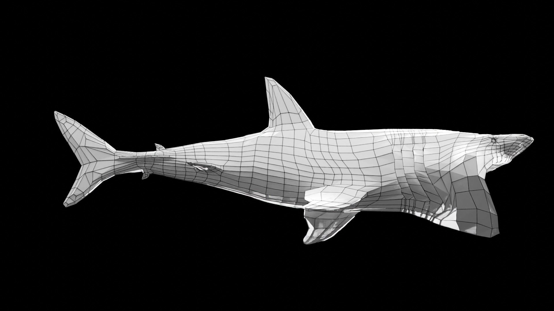 Lowpoly Basking Shark Low-poly 3D model_22