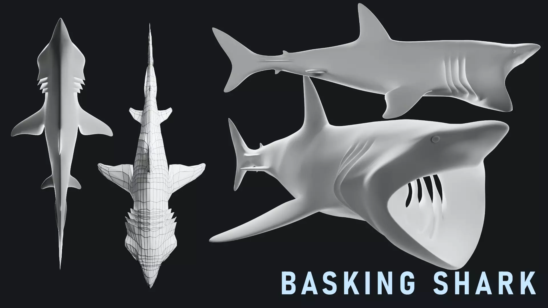 Lowpoly Basking Shark Low-poly 3D model_0