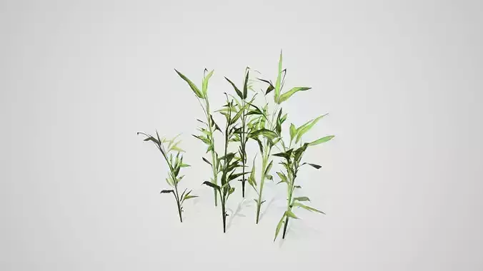 Switch Cane Cluster grass Low-poly 3D model