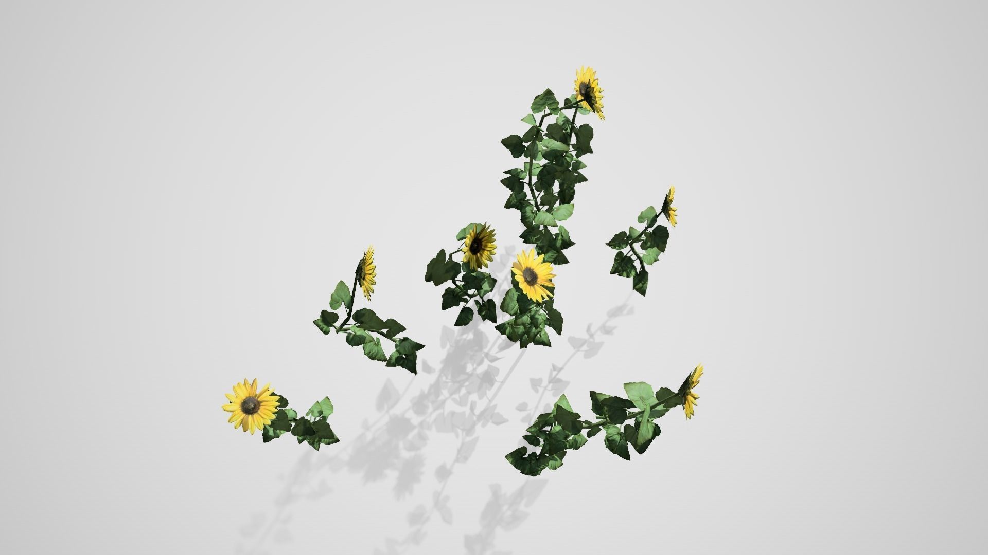 Sunflower Patch Low-poly 3D model_2