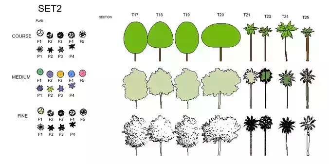 Fully Customizable Revit 2020 Tree Family 3D model