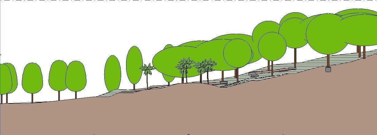 Fully Customizable Revit 2020 Tree Family 3D model_15