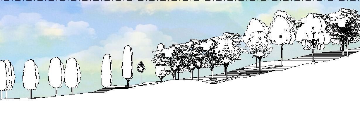 Fully Customizable Revit 2020 Tree Family 3D model - Set 1 3D model_16