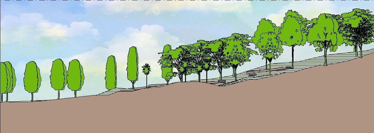 Fully Customizable Revit 2020 Tree Family 3D model - Set 1 3D model_19