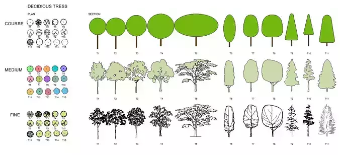 Fully Customizable Revit 2020 Tree Family 3D model - Set 1 3D model