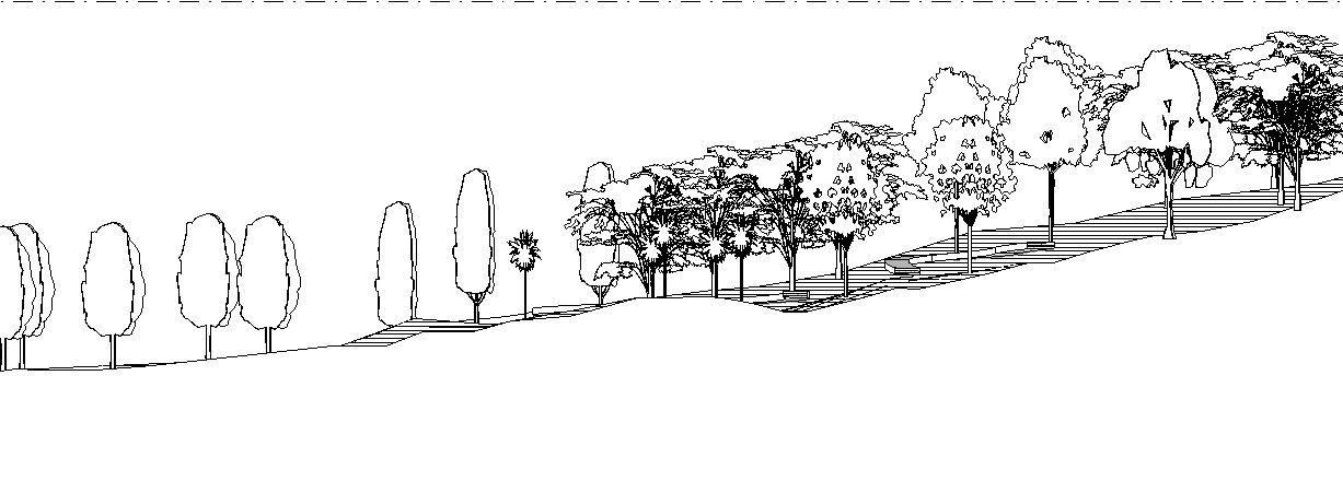 Fully Customizable Revit 2020 Tree Family 3D model - Set 1 3D model_22