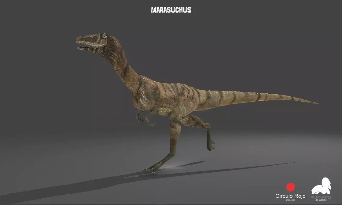 MARASUCHUS 3D MODEL 7 ANIMATIONS Low-poly 3D model