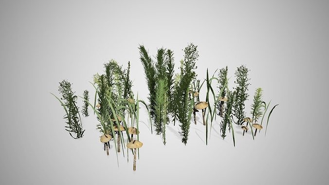 Mixed Greens Low-poly 3D model