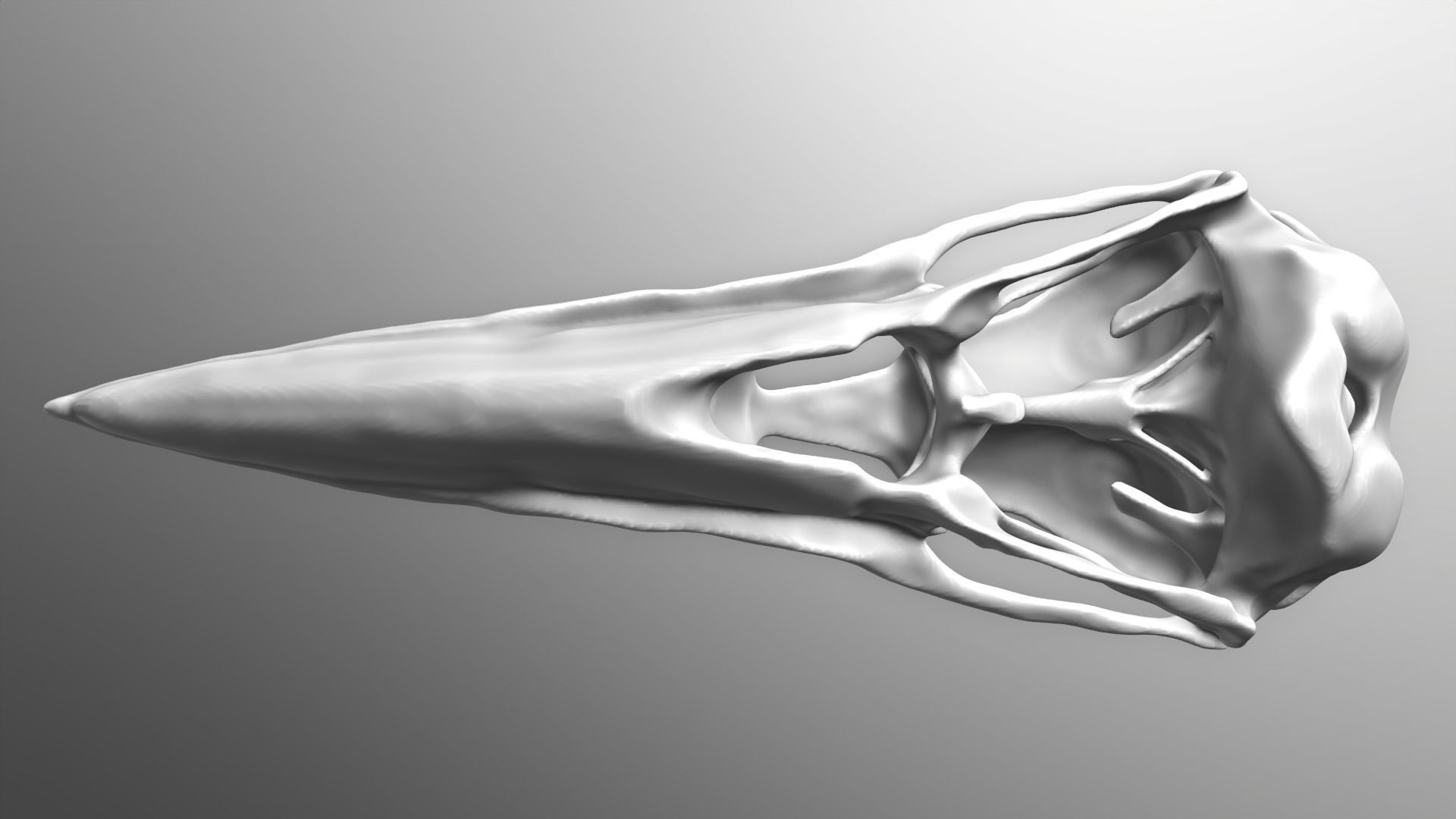 Crow Skull 3D model_4