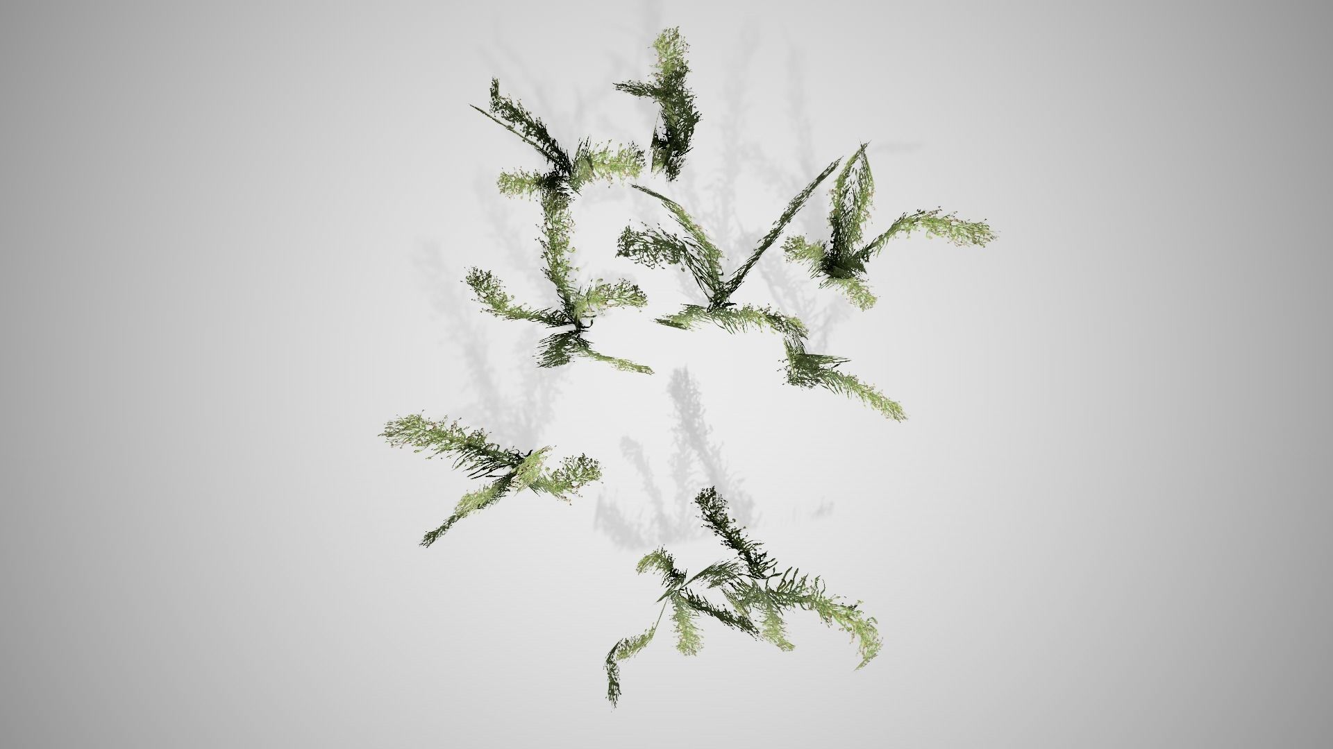 Knapweed Cluster Grass Low-poly 3D model_3