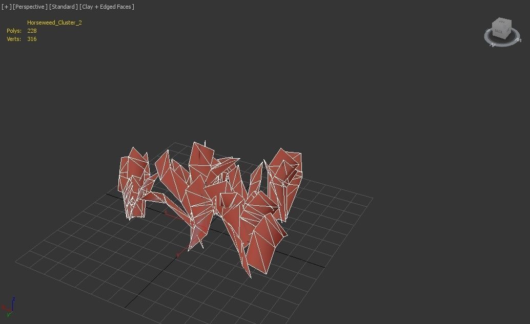 Horseweed Cluster grass Low-poly 3D model_4