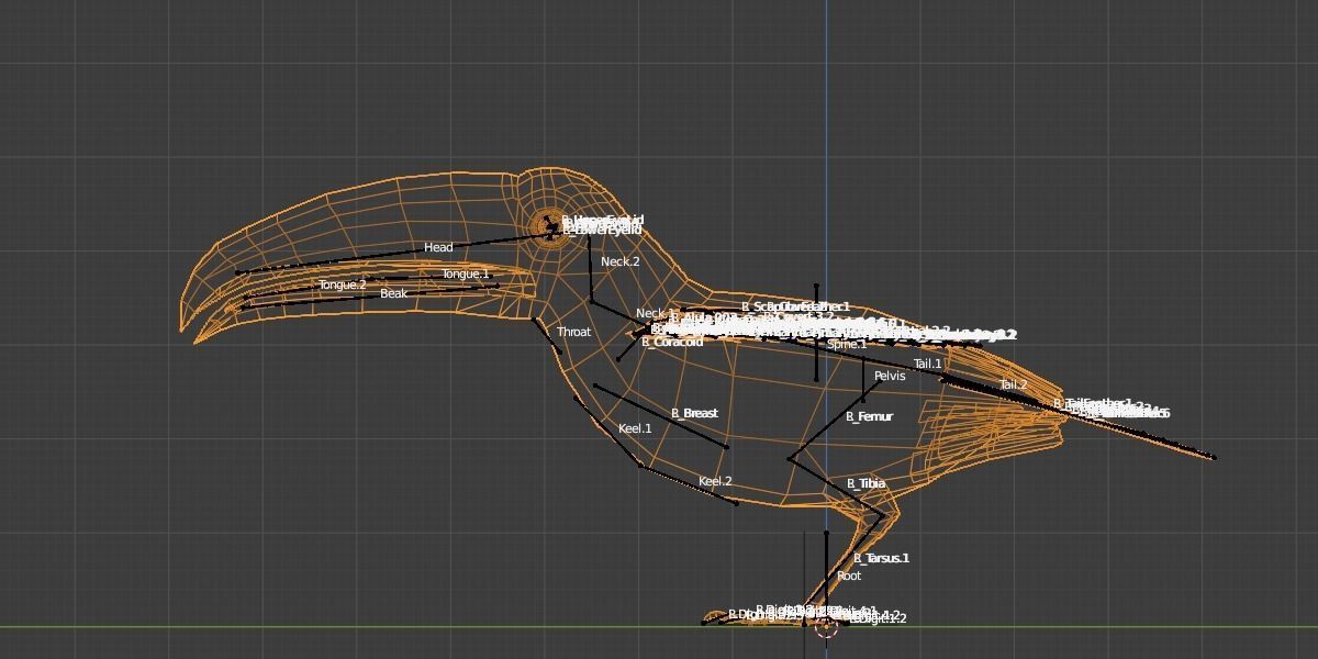 Toucan Low-poly 3D model_1