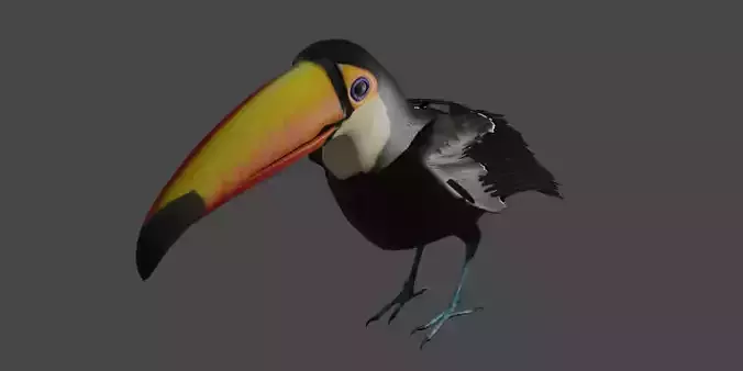 Toucan Low-poly 3D model