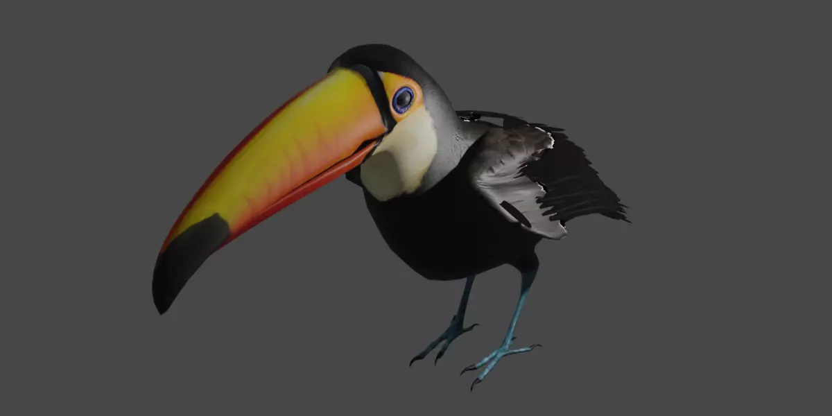Toucan Low-poly 3D model_0