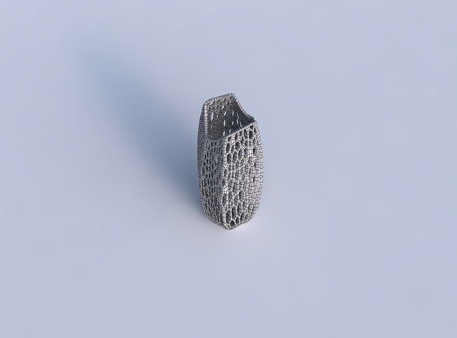 Vase double arc hexagon with organic lattice and tappered thi... 3D print model_6