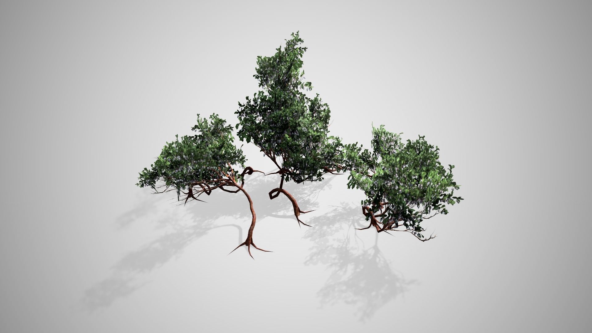 3D model Greenleaf Manzanita bush VR / AR / low-poly | CGTrader
