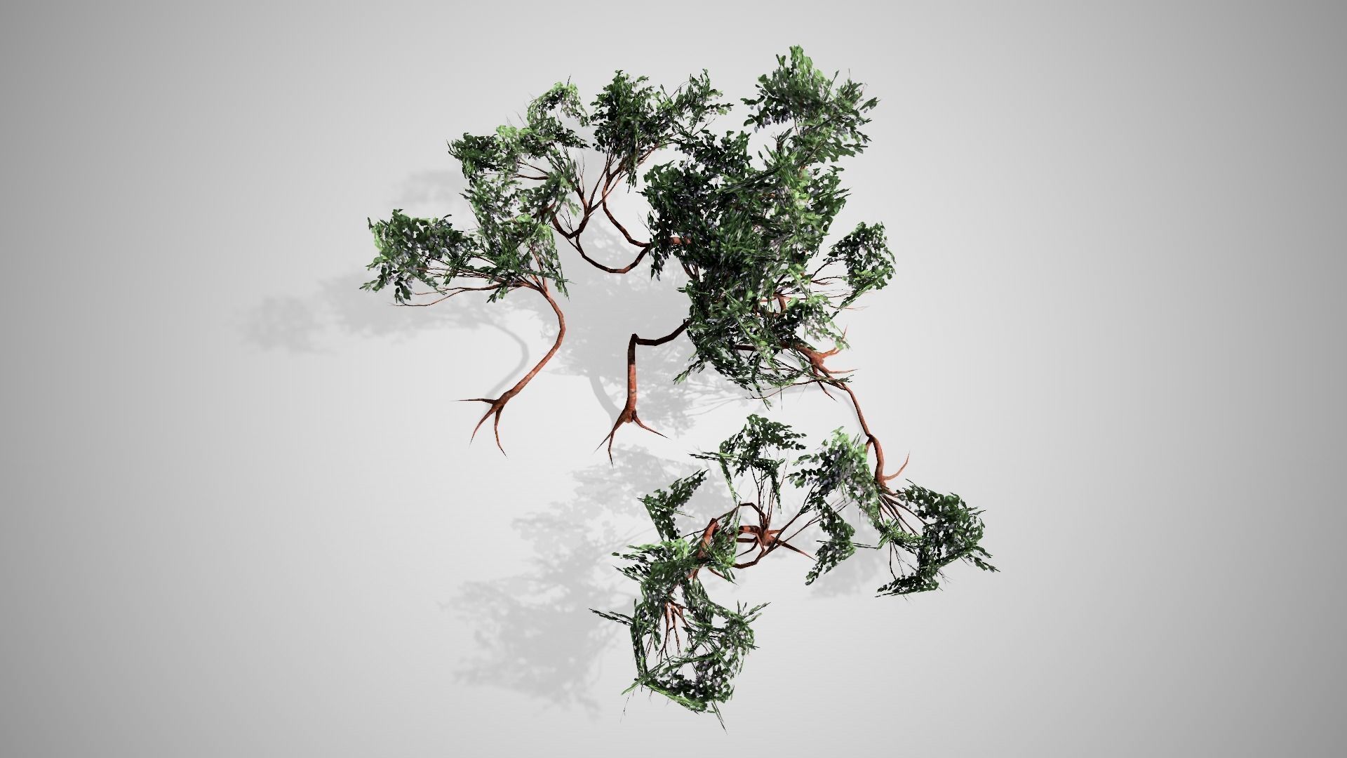 3D model Greenleaf Manzanita bush VR / AR / low-poly | CGTrader