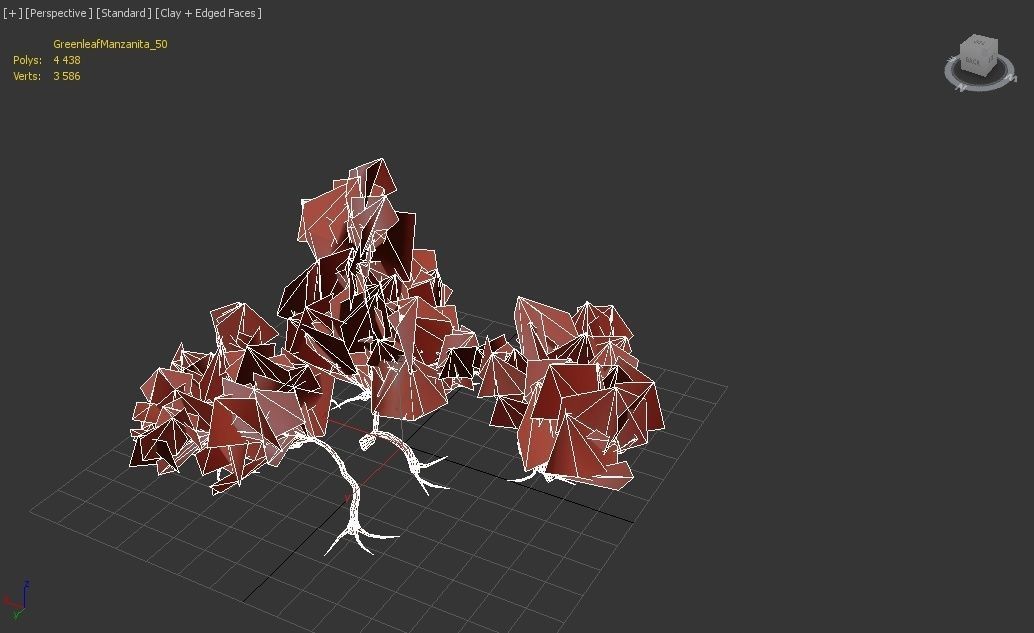 3D model Greenleaf Manzanita bush VR / AR / low-poly | CGTrader