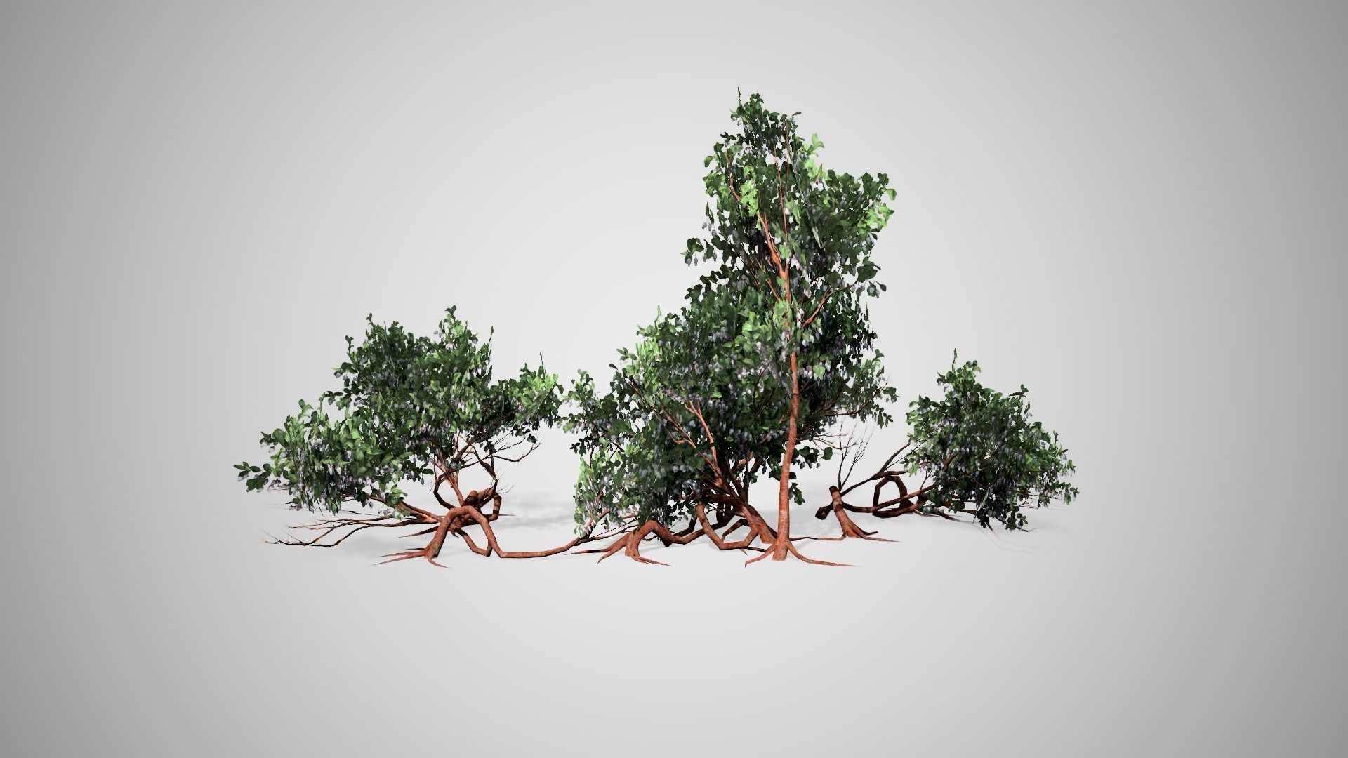 3D model Greenleaf Manzanita bush VR / AR / low-poly | CGTrader