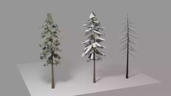 Tree Bundle - FBX Files for Unity Low-poly 3D model