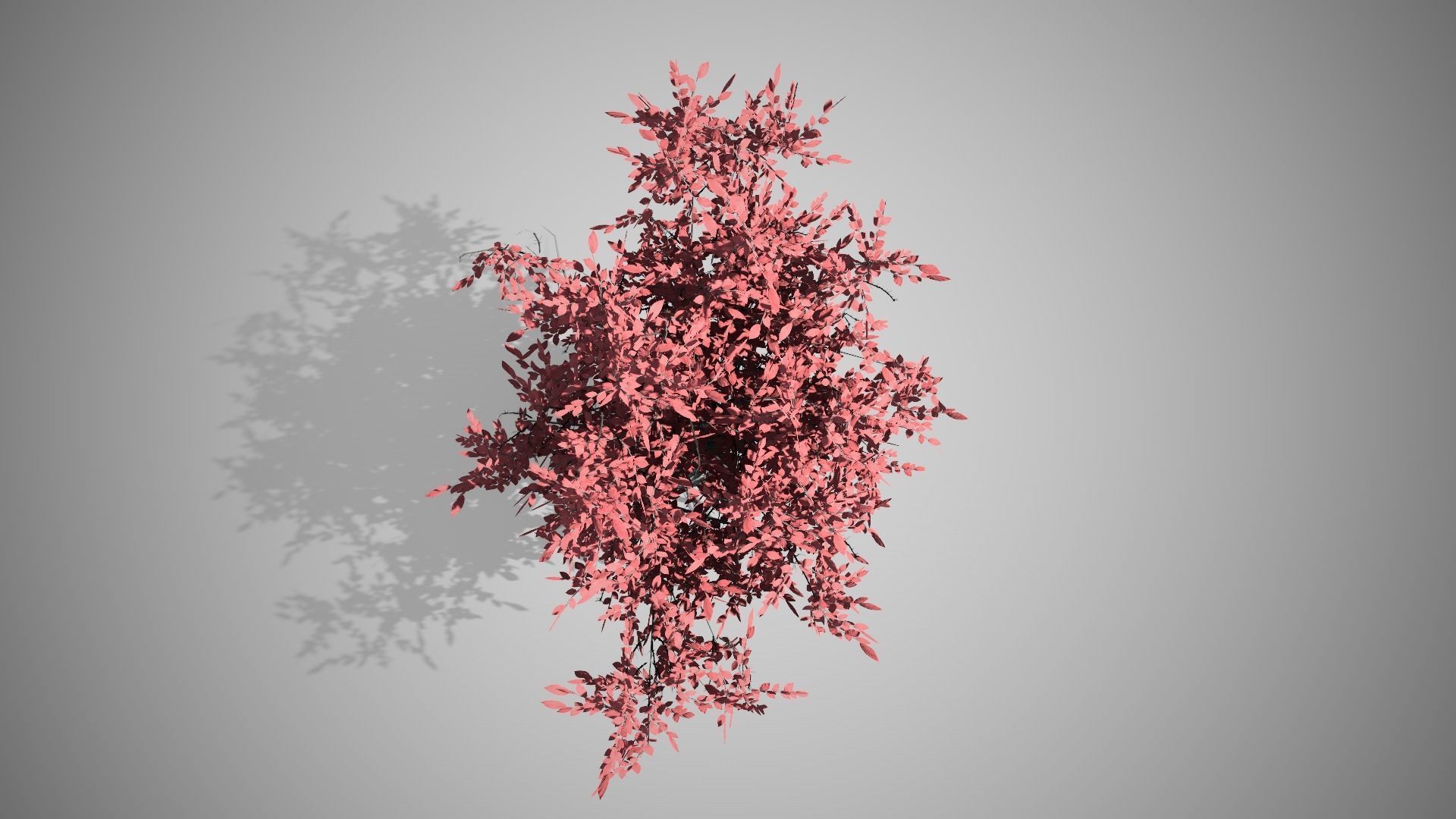 Fantasy Tree LODS Low-poly 3D model_2