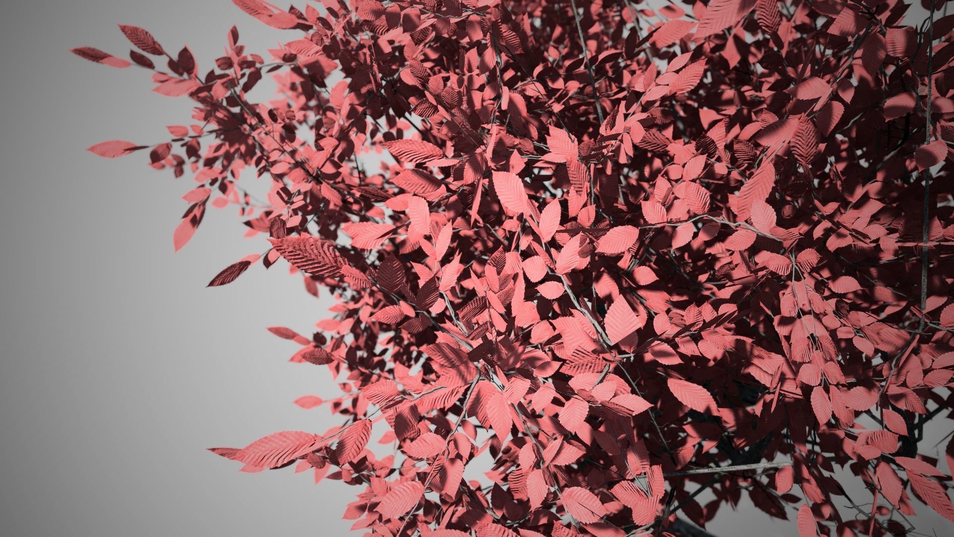 Fantasy Tree LODS Low-poly 3D model_1