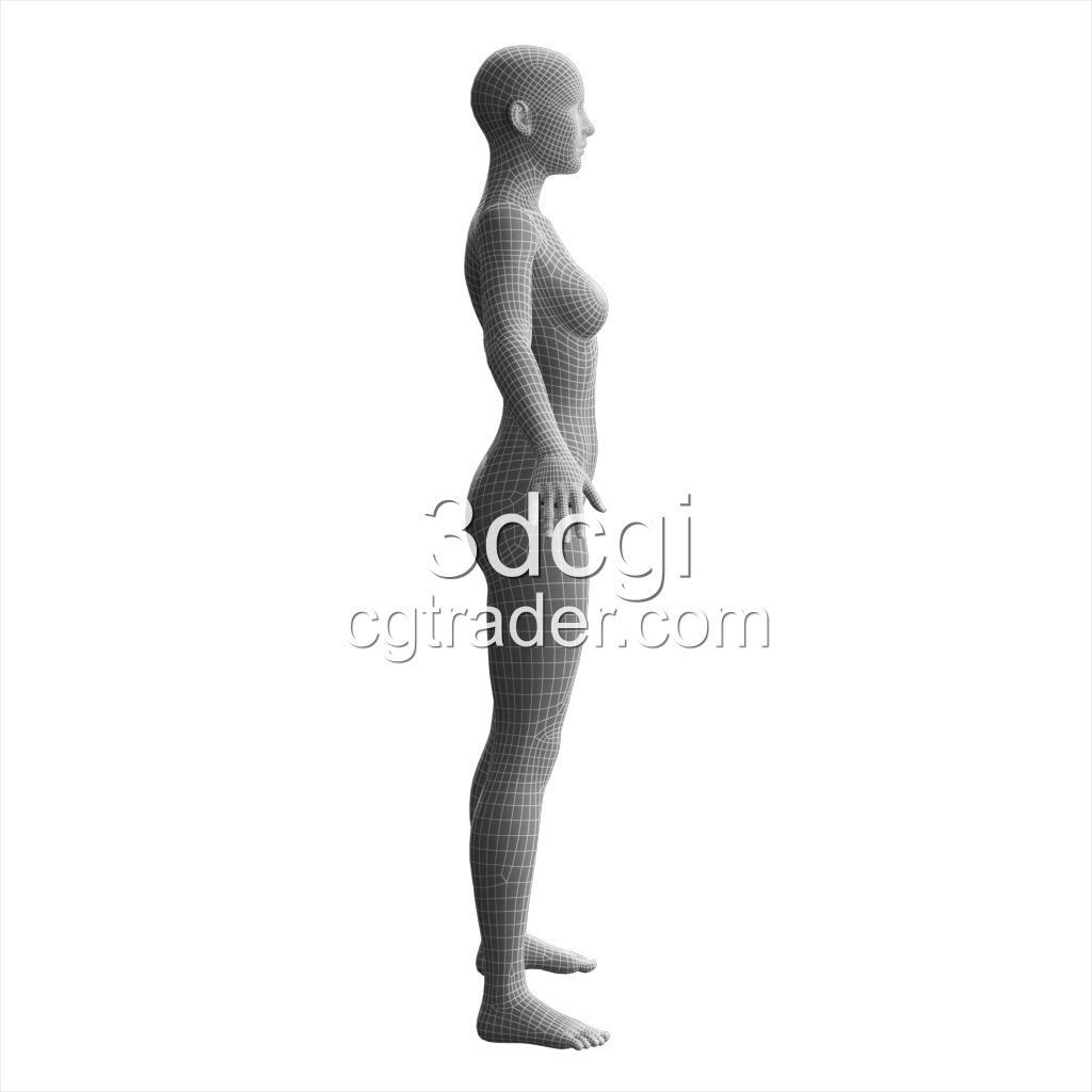 female 3d model base mesh Low-poly 3D model_10