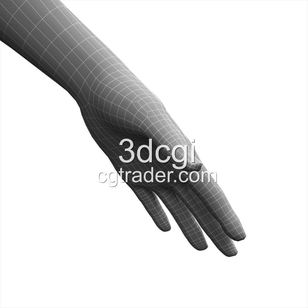 female 3d model base mesh Low-poly 3D model_18