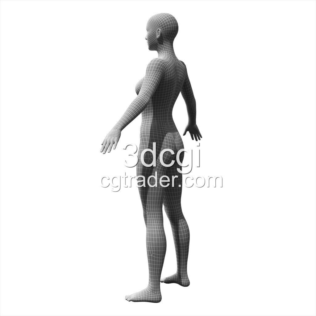female 3d model base mesh Low-poly 3D model_6