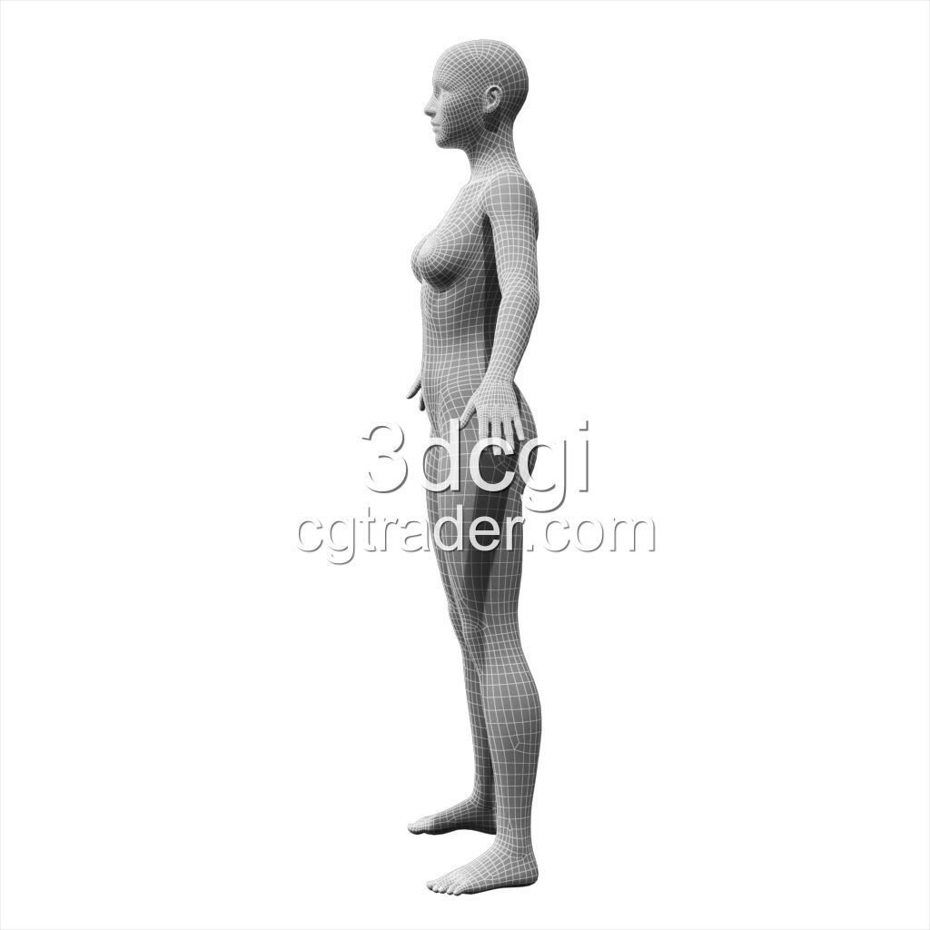female 3d model base mesh Low-poly 3D model_5