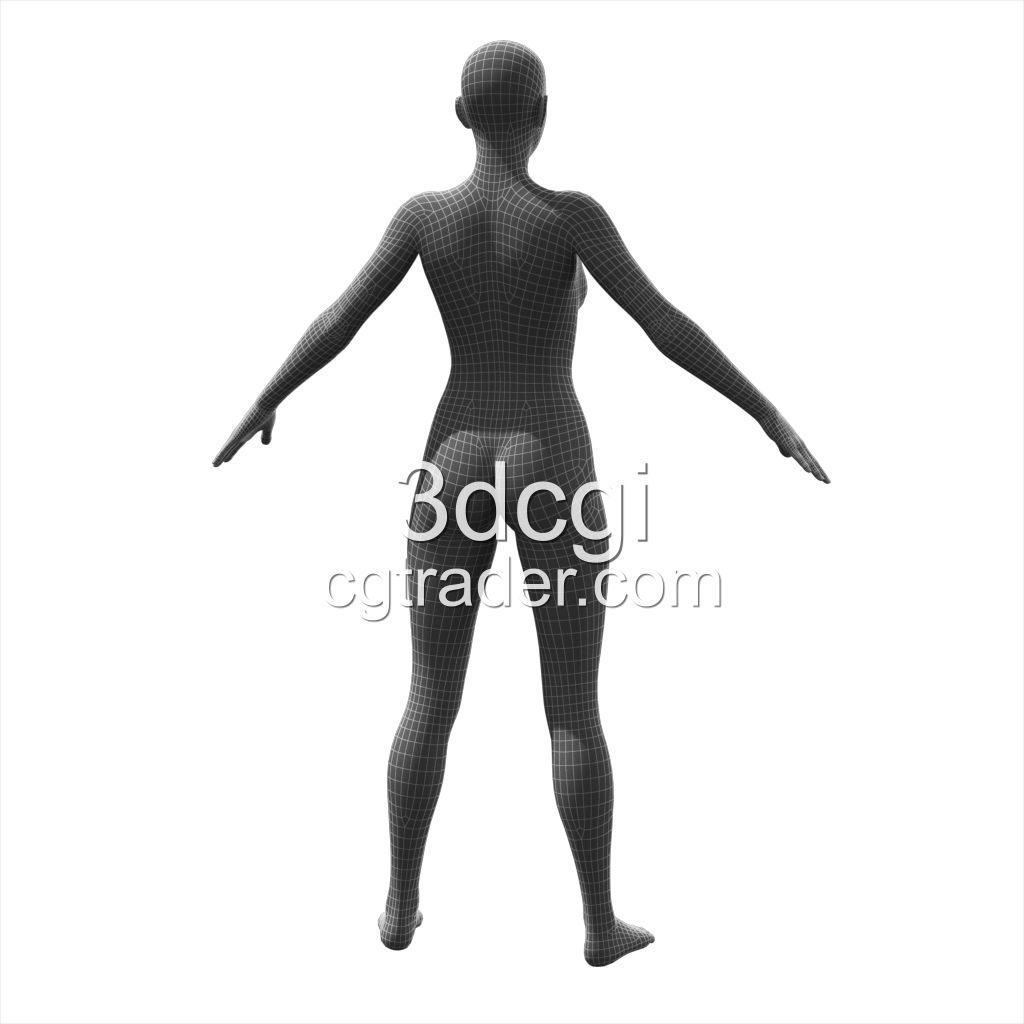 female 3d model base mesh Low-poly 3D model_8
