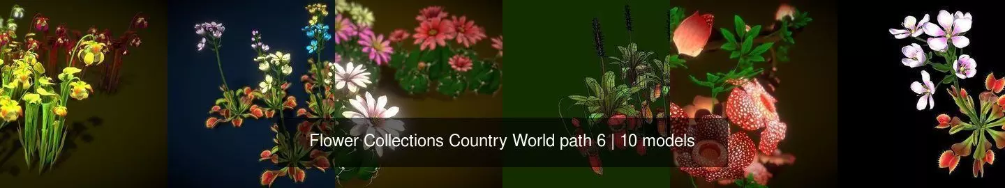 Flower Collections Country World path 6 _0