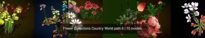 Flower Collections Country World path 6 