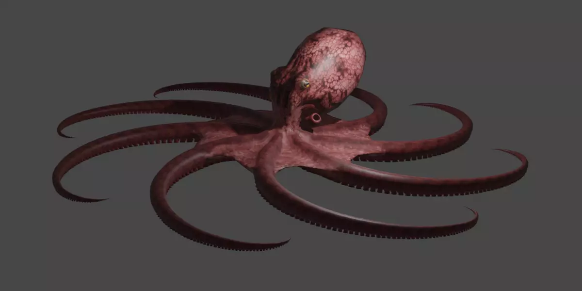 Octopus 3D model_0