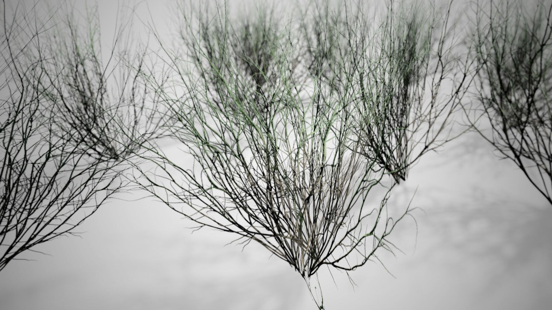 Broom Snakeweed Cluster grass Low-poly 3D model_1