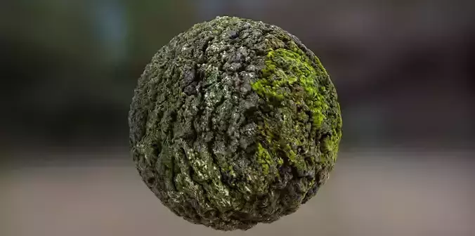 Oak bark with moss PBR texture 2k