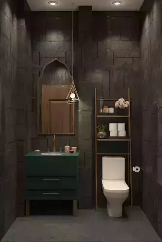 Toilet modern bathroom with walls and accents
