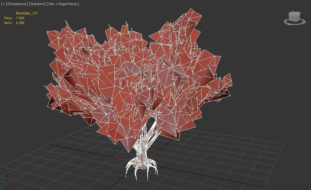 Black Elder Tree Low-poly 3D model_5