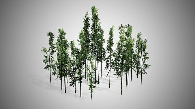 Bamboo Cluster Low-poly 3D model