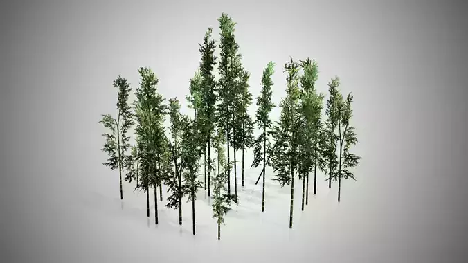 Bamboo Cluster Low-poly 3D model