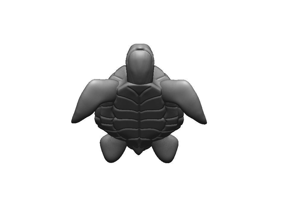 Turtle sea 3d print model 3D print model_27