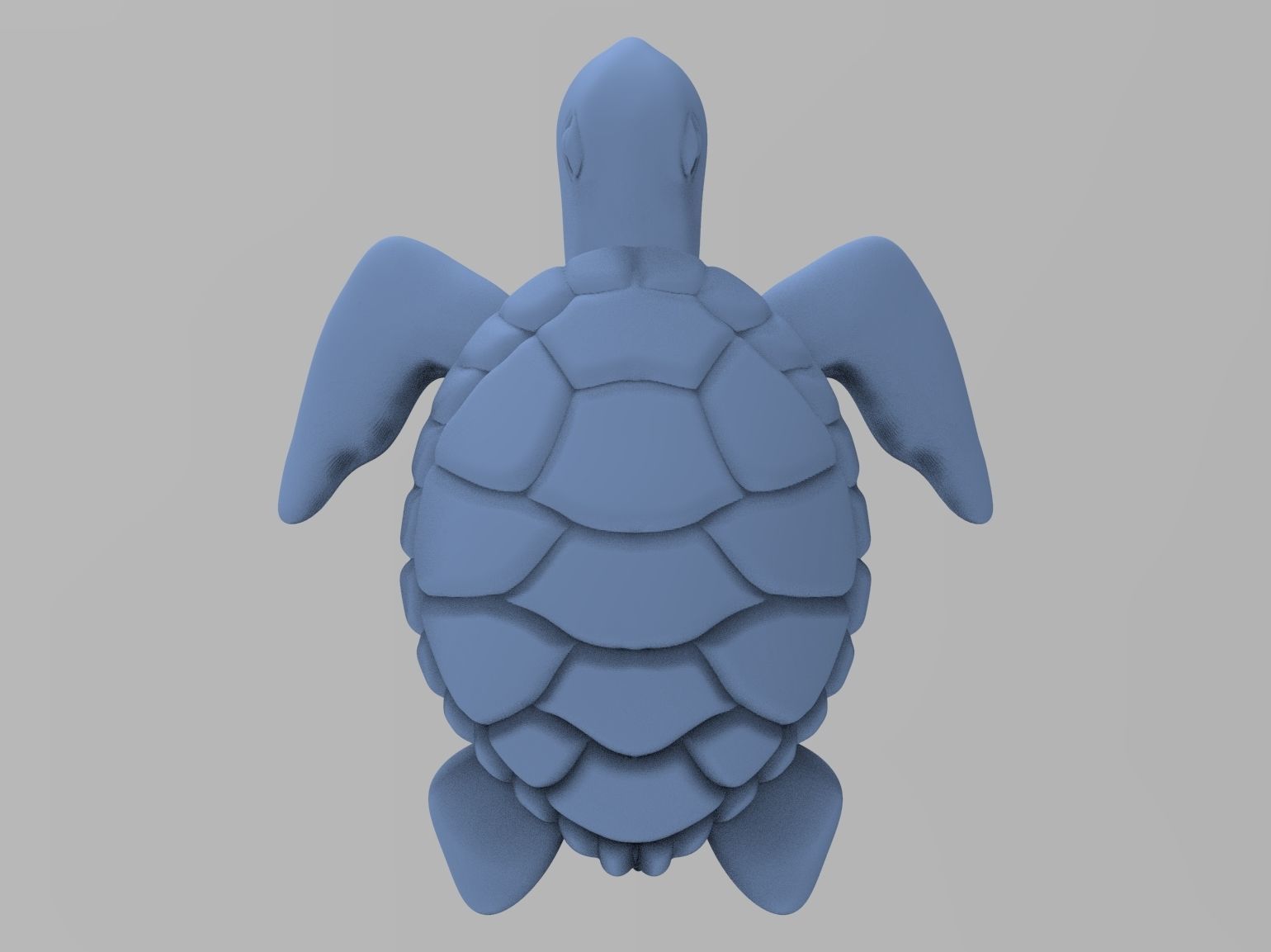 Turtle sea 3d print model 3D print model_28