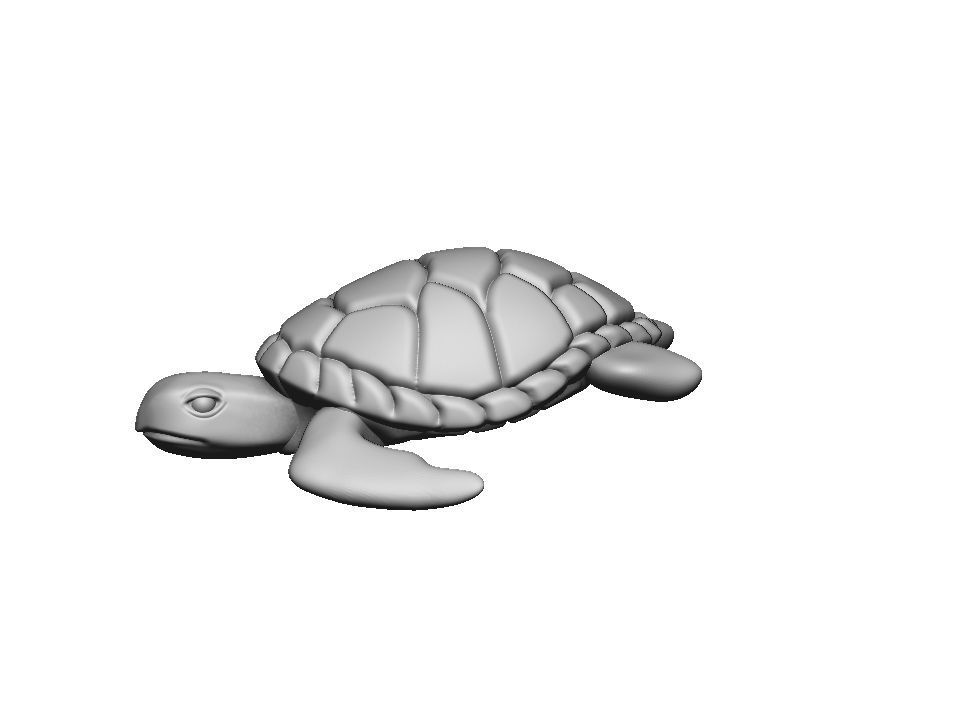Turtle sea 3d print model 3D print model_25