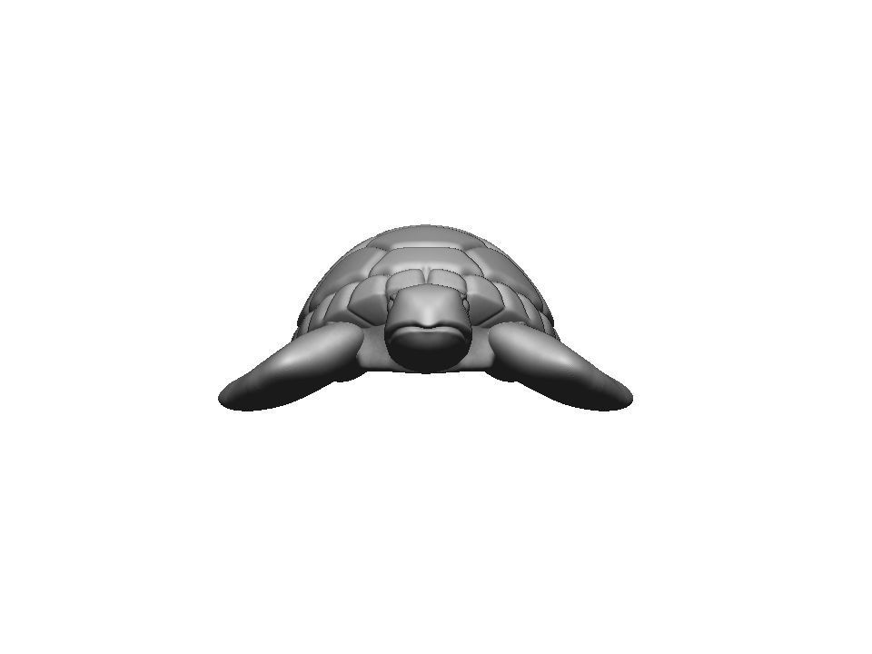 Turtle sea 3d print model 3D print model_46