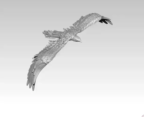 Grand american Eagle 