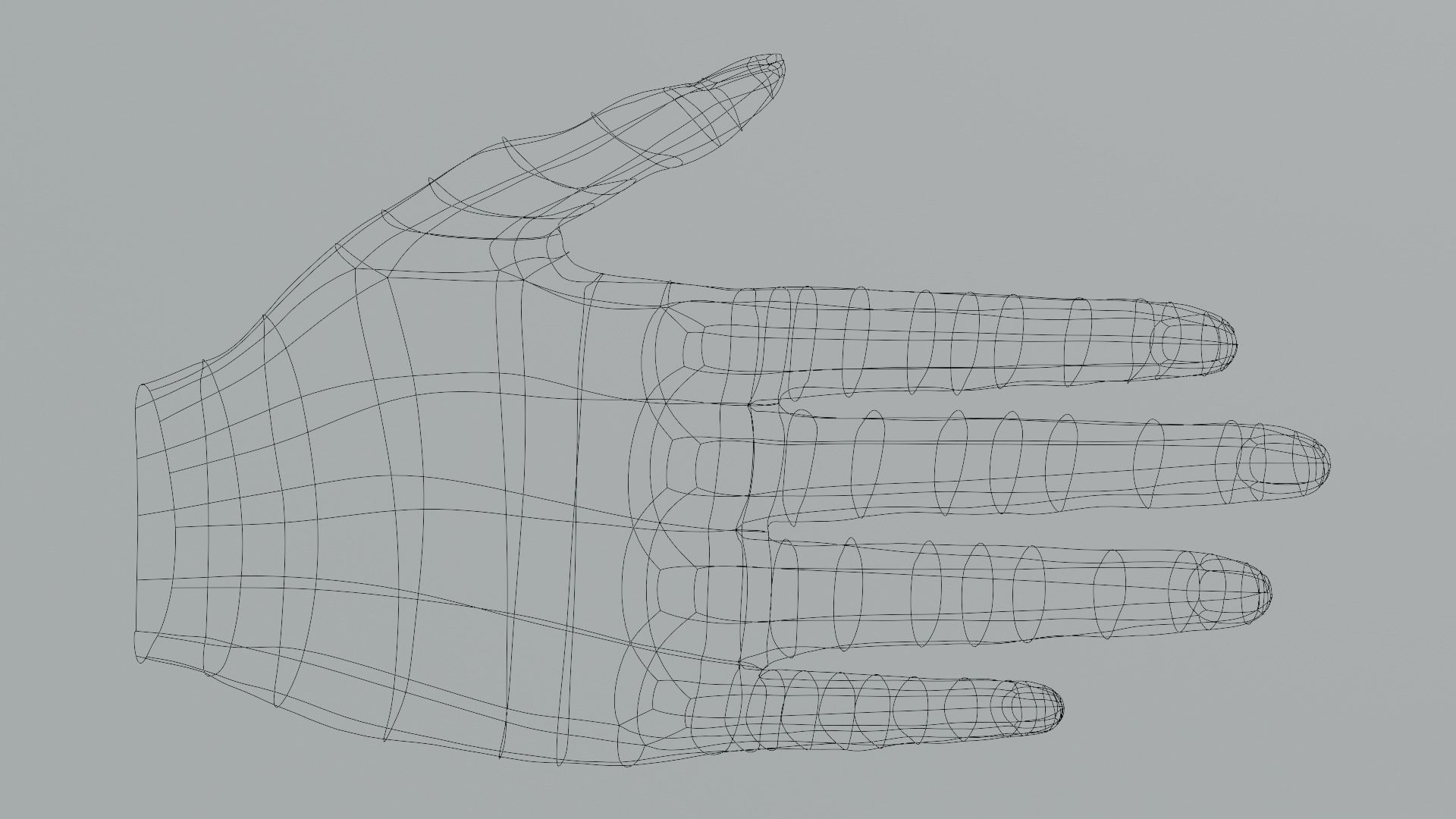 Female hand  Free 3D model_3