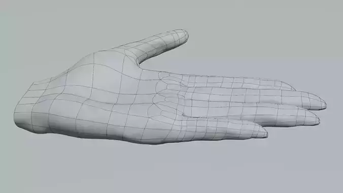 Female hand  Free 3D model